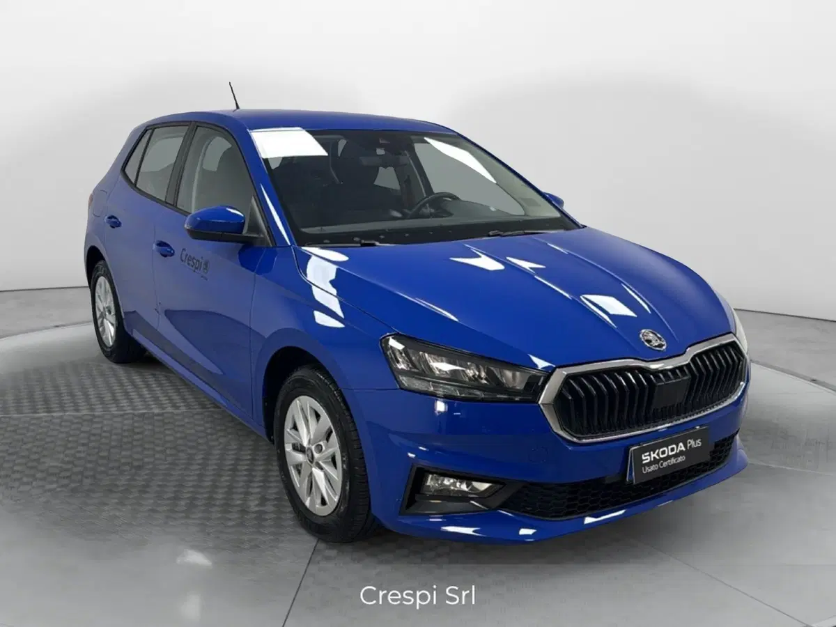 Skoda Fabia usata a Varese (3)