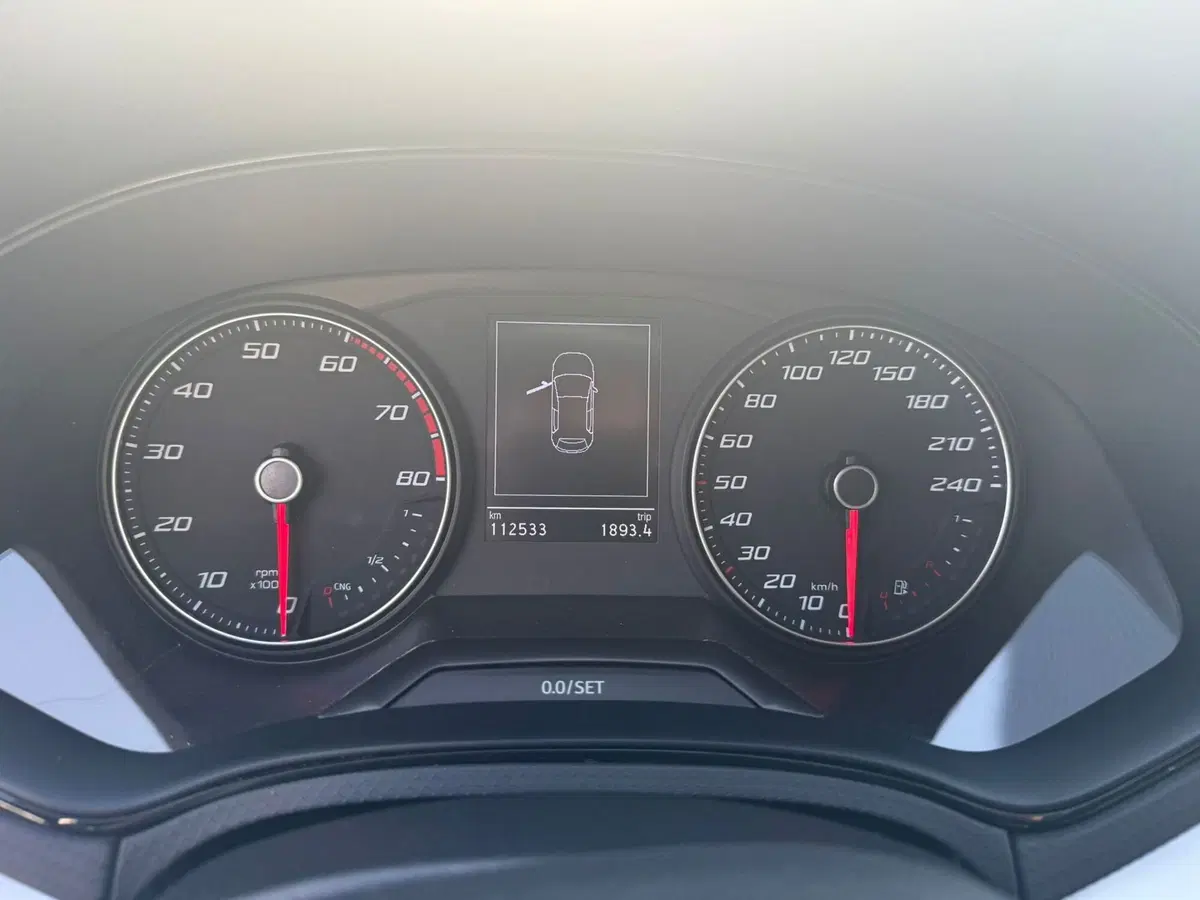 SEAT Ibiza usata a Rimini (13)