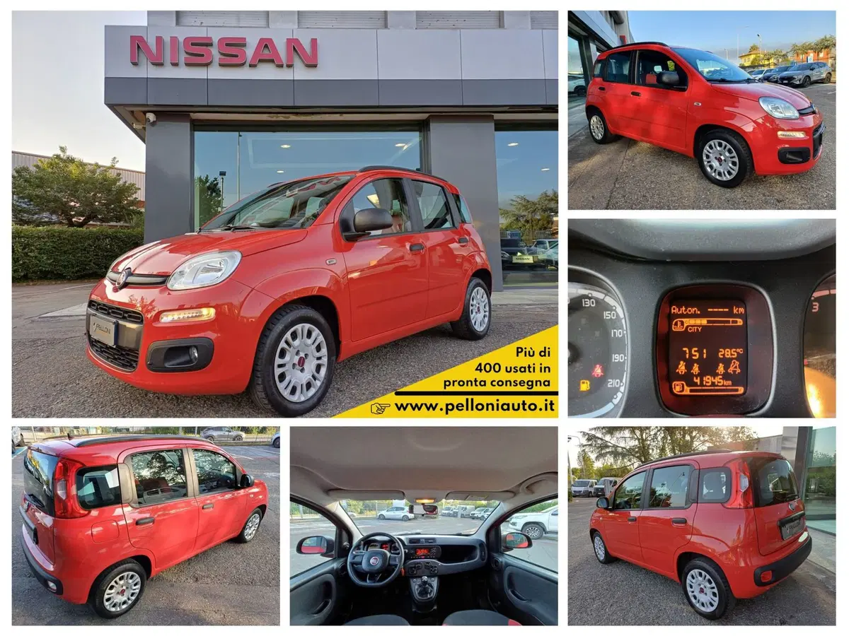 Fiat Panda usata a Modena