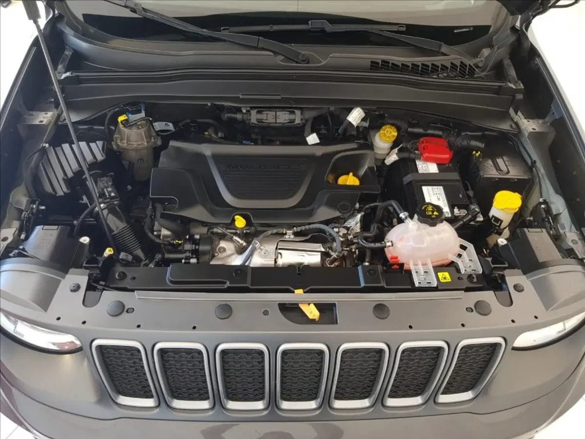 Jeep Renegade usata a Lucca (17)