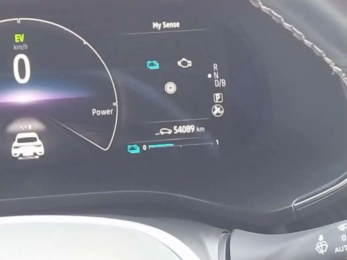 Renault Arkana usata a Firenze (15)