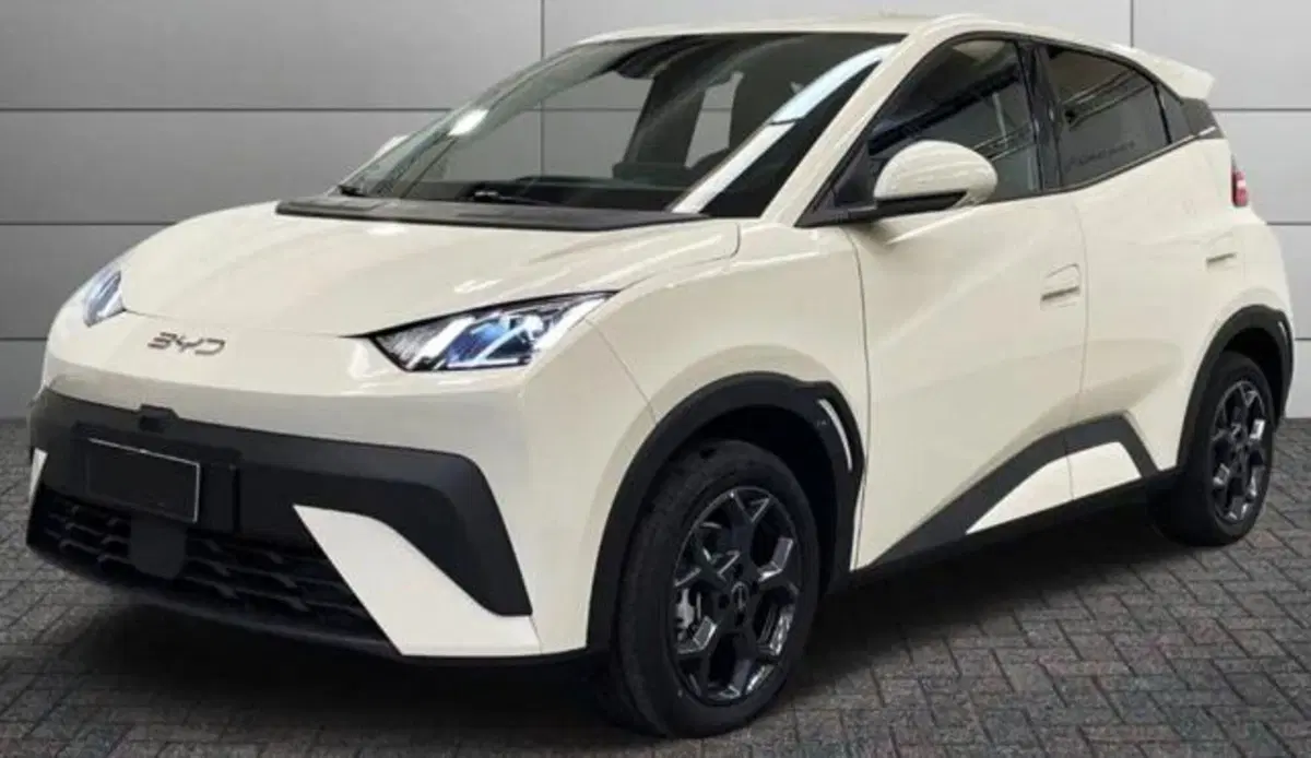 Byd Dolphin Surf usata a Bologna