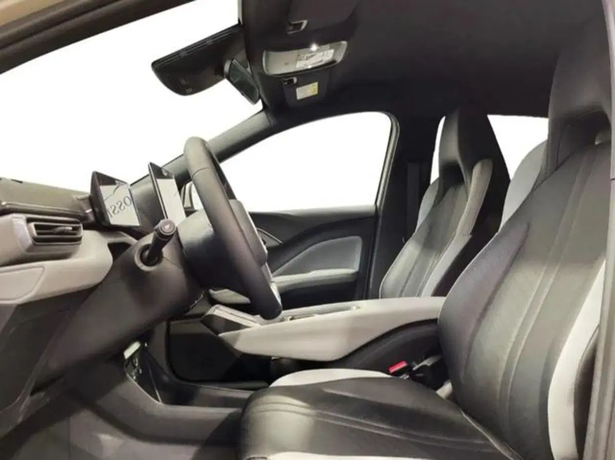 Byd Dolphin Surf usata a Bologna (10)