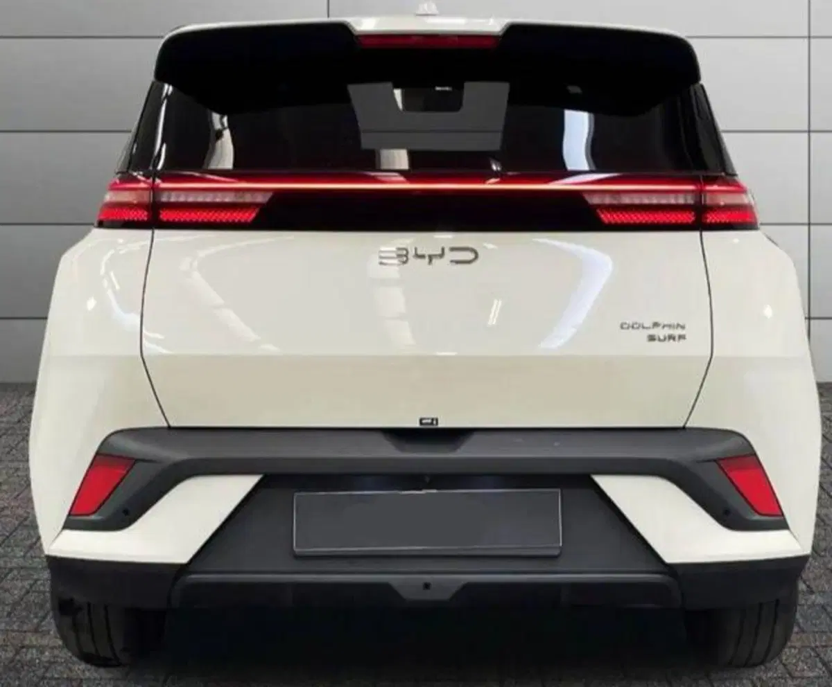 Byd Dolphin Surf usata a Bologna (4)