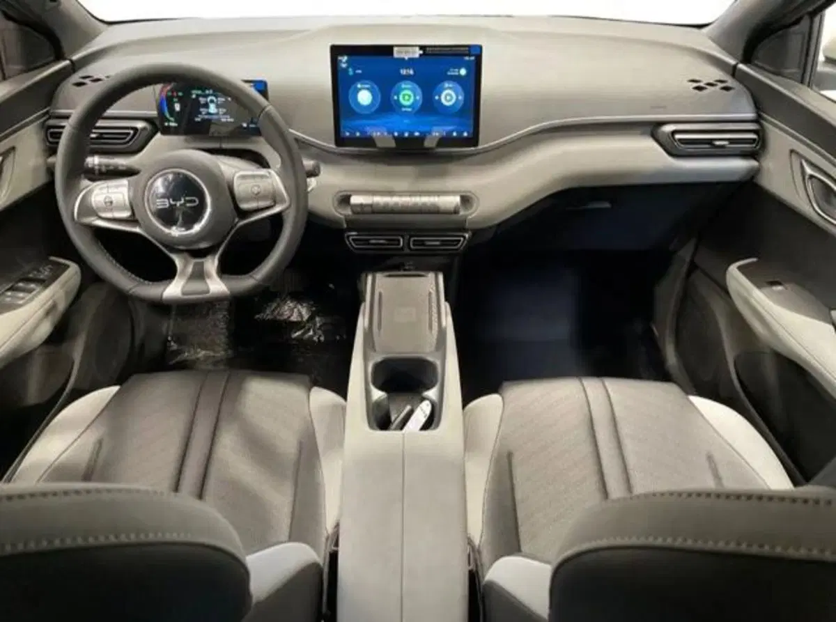 Byd Dolphin Surf usata a Bologna (8)