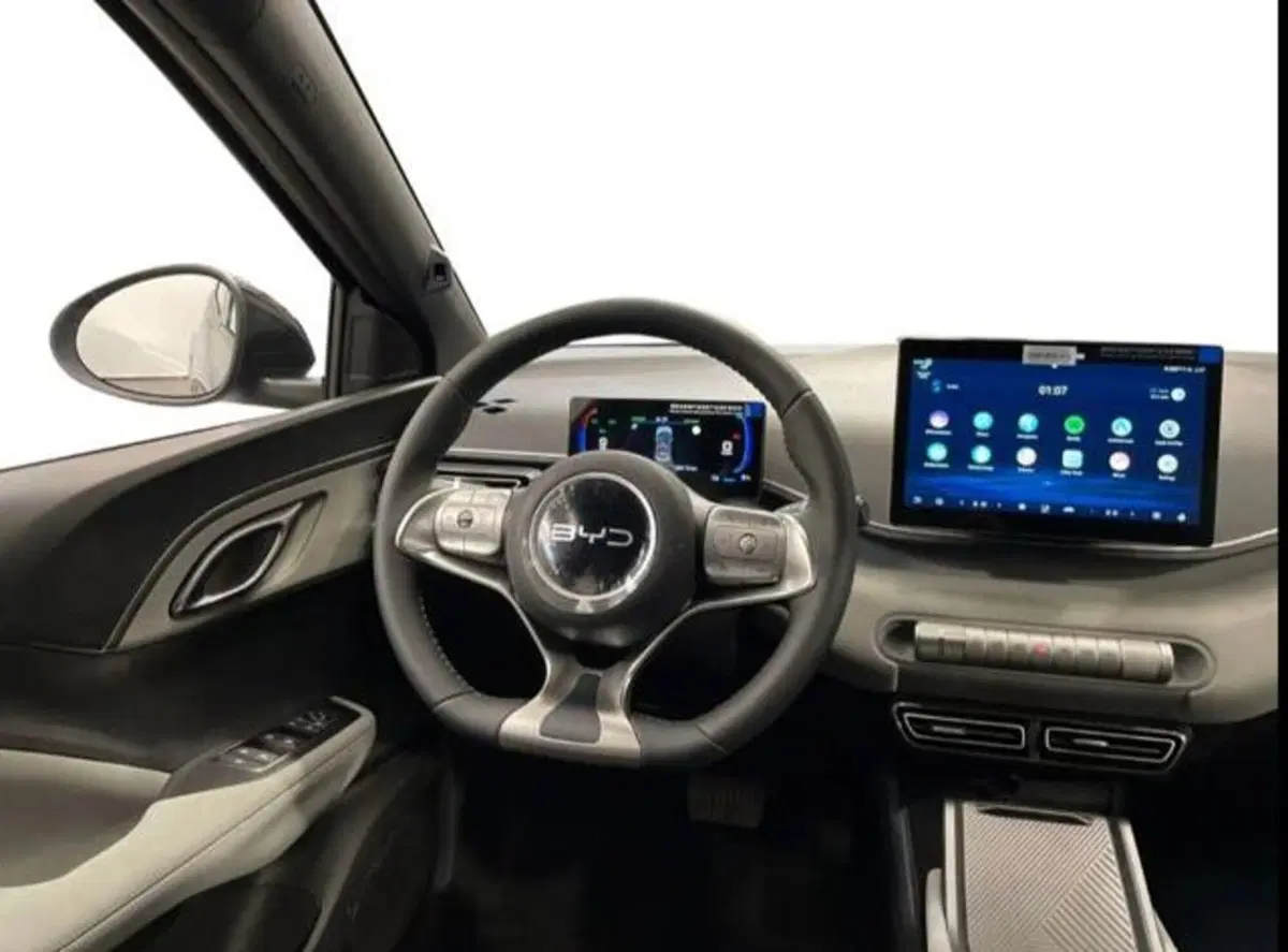 Byd Dolphin Surf usata a Bologna (9)
