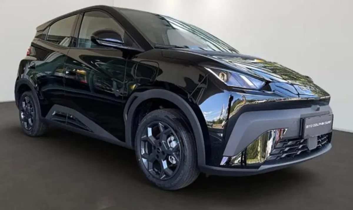 Byd Dolphin Surf usata a Bologna
