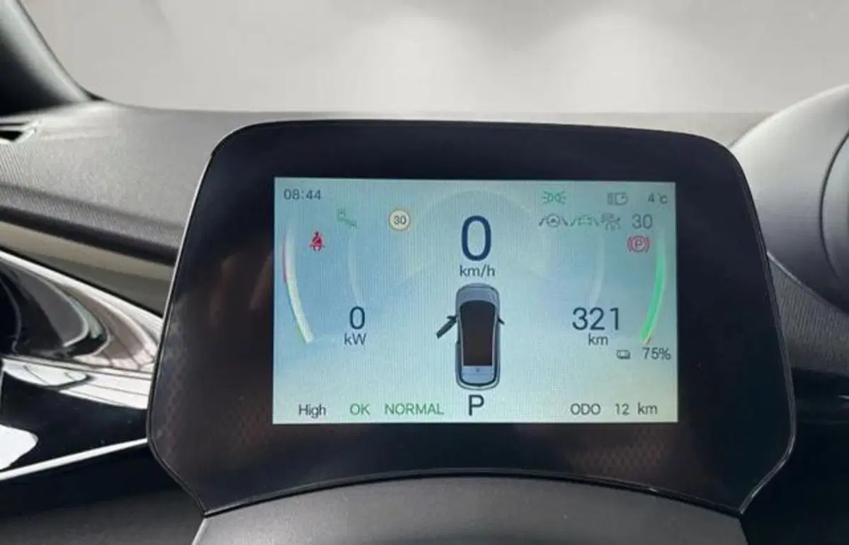 Byd Dolphin Surf usata a Bologna (13)