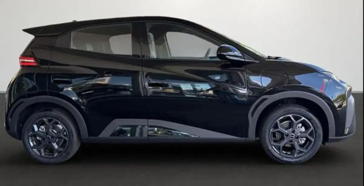 Byd Dolphin Surf usata a Bologna (2)