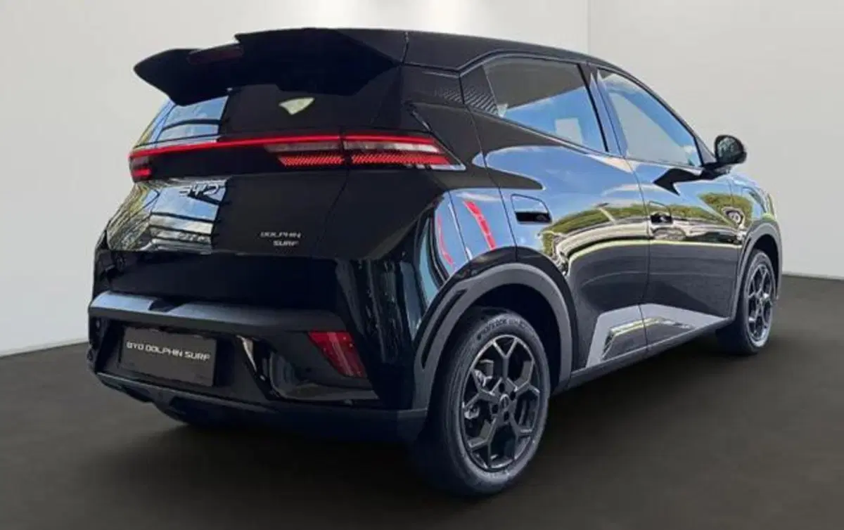 Byd Dolphin Surf usata a Bologna (3)