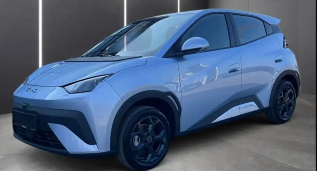 Byd Dolphin Surf usata a Bologna