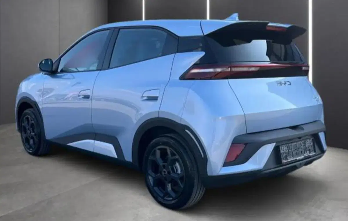 Byd Dolphin Surf usata a Bologna (2)