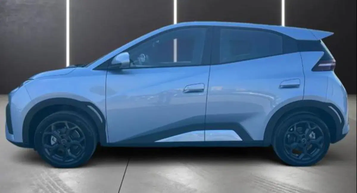 Byd Dolphin Surf usata a Bologna (3)