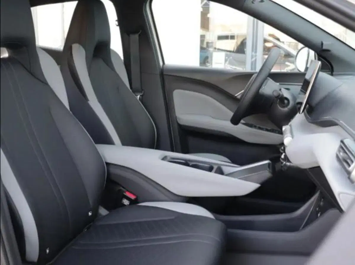 Byd Dolphin Surf usata a Bologna (8)