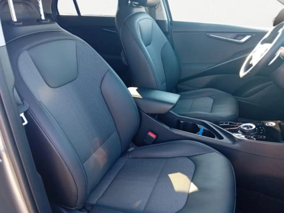 Kia Niro usata a Udine (11)