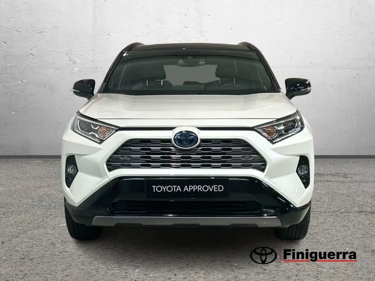 Toyota Rav4 usata a Lecco (3)
