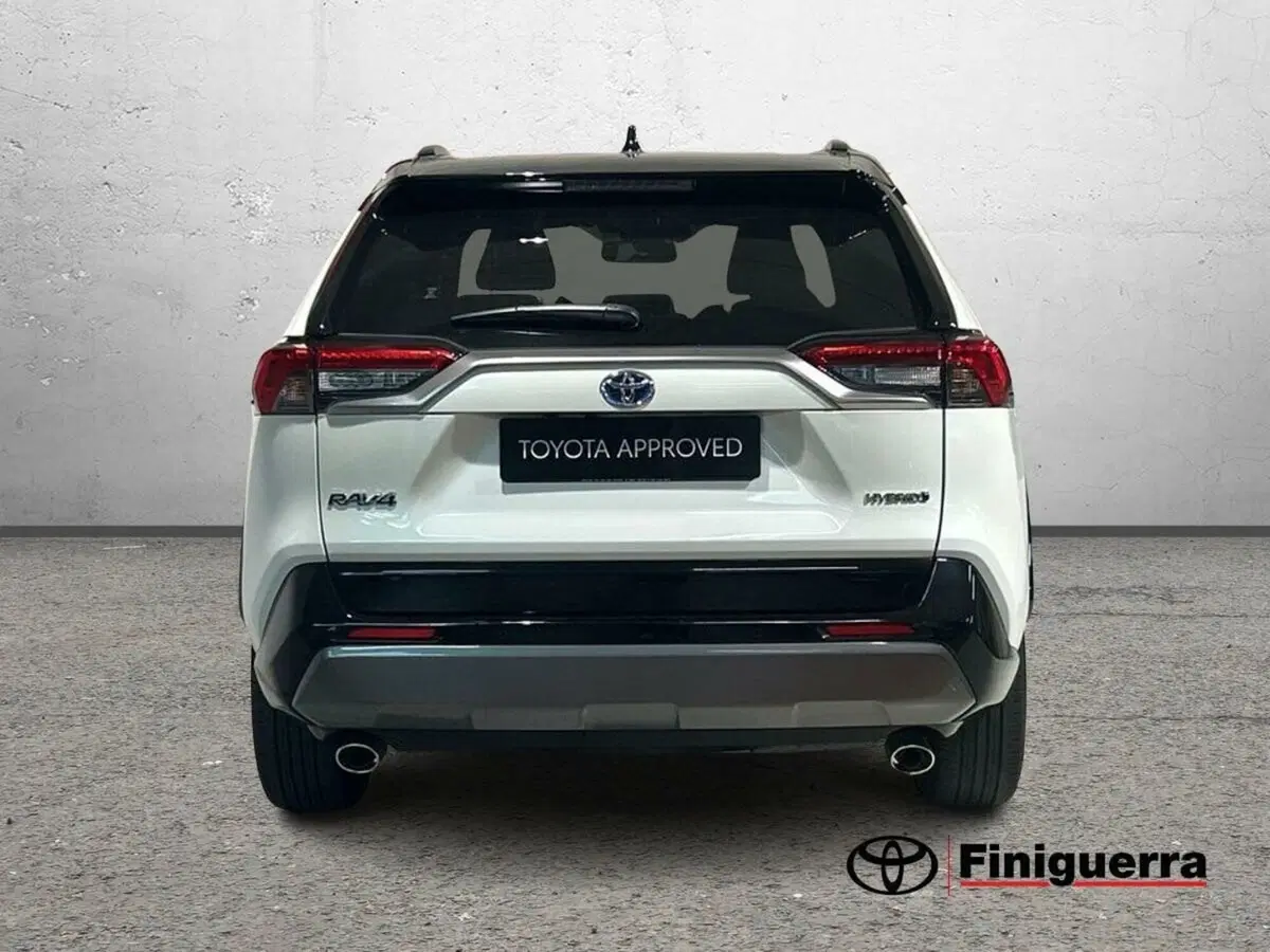 Toyota Rav4 usata a Lecco (4)