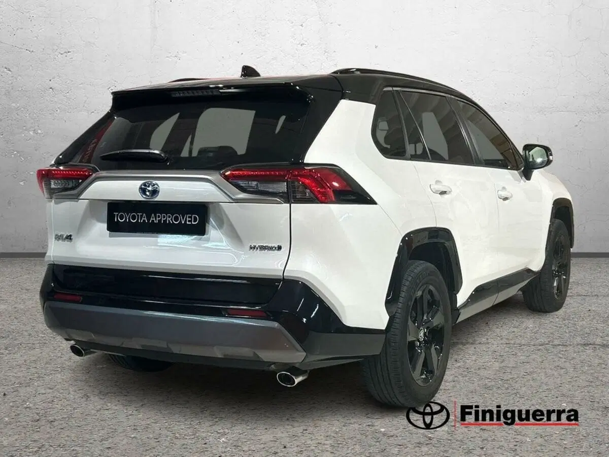 Toyota Rav4 usata a Lecco (5)