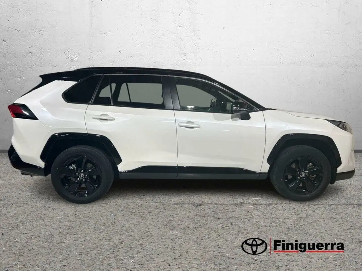 Toyota Rav4 usata a Lecco (6)