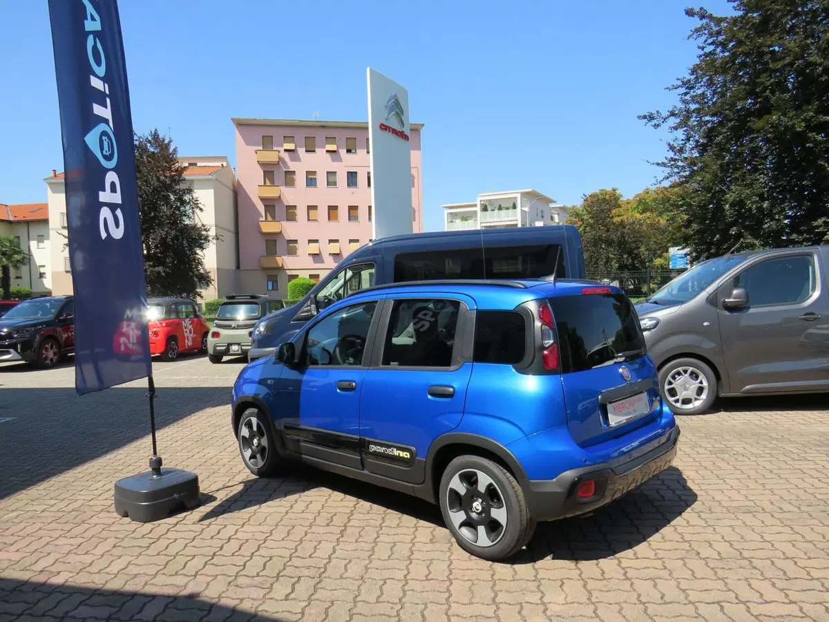 Fiat Pandina nuova a Monza e Brianza (6)