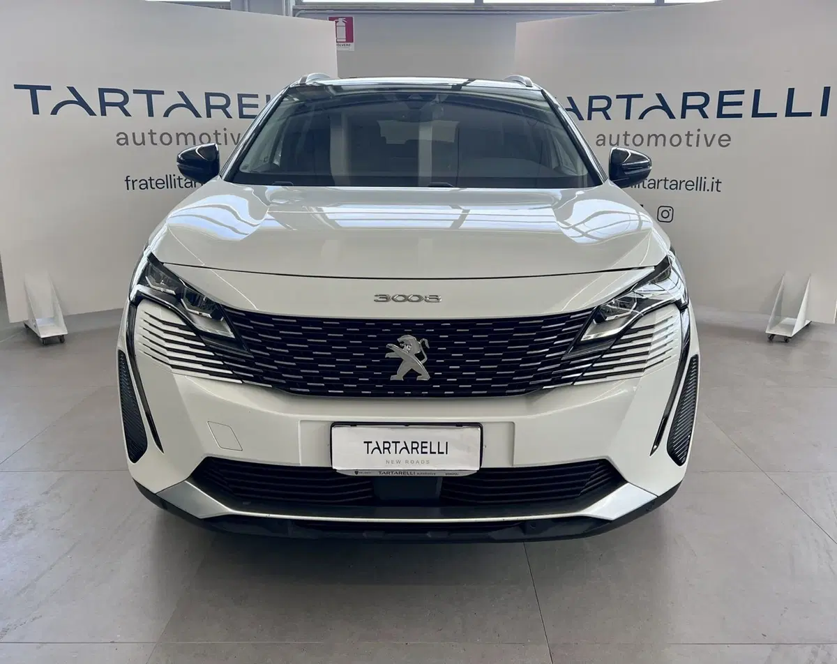 Peugeot 3008 usata a Bari (2)
