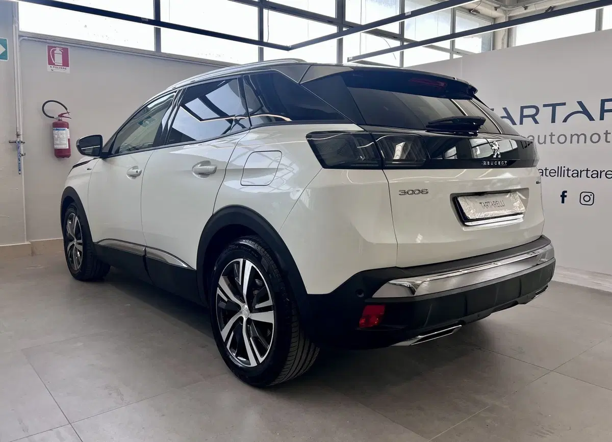 Peugeot 3008 usata a Bari (7)