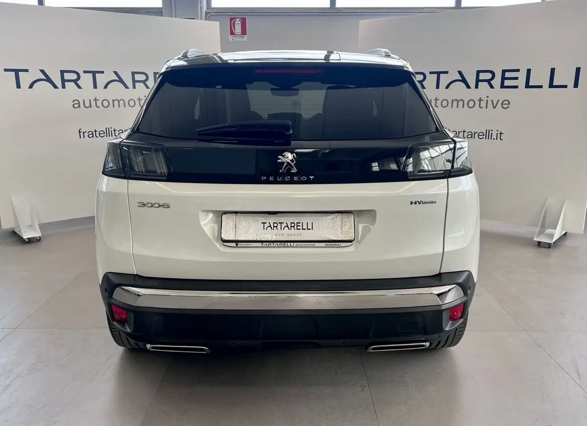 Peugeot 3008 usata a Bari (8)