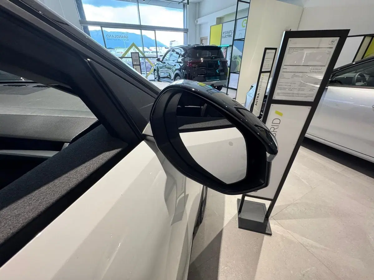 Opel Grandland nuova a Frosinone (16)