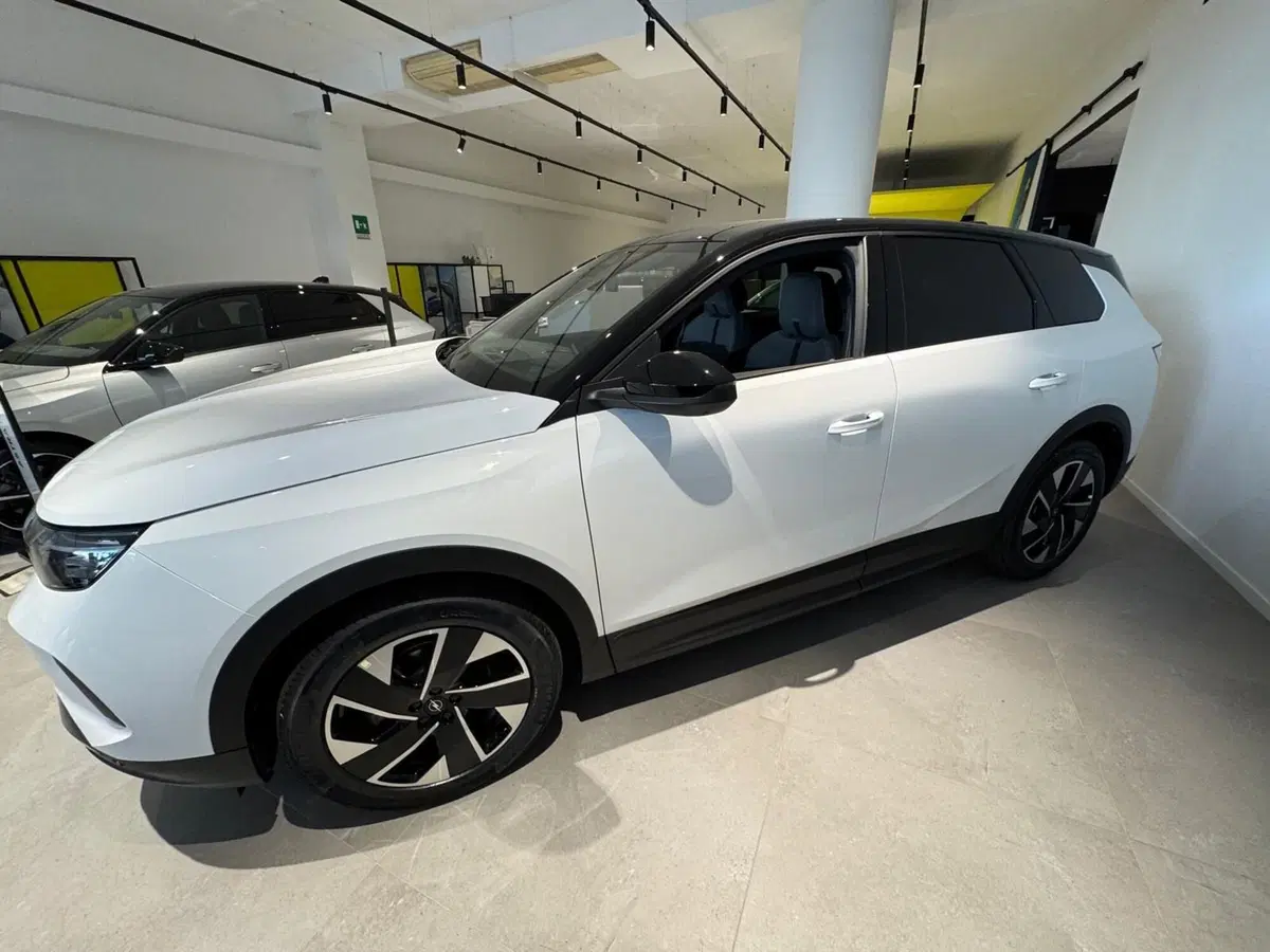Opel Grandland nuova a Frosinone (3)