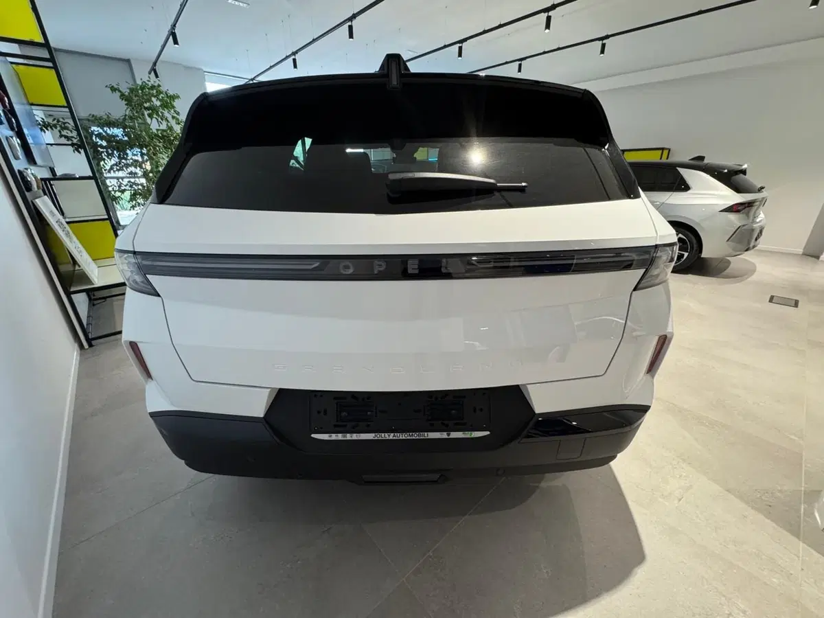 Opel Grandland nuova a Frosinone (4)