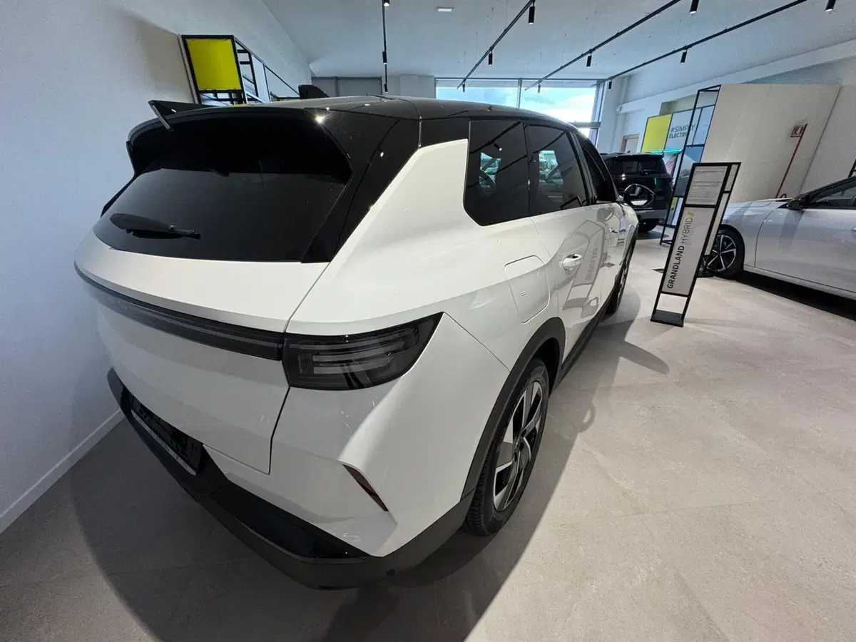 Opel Grandland nuova a Frosinone (6)