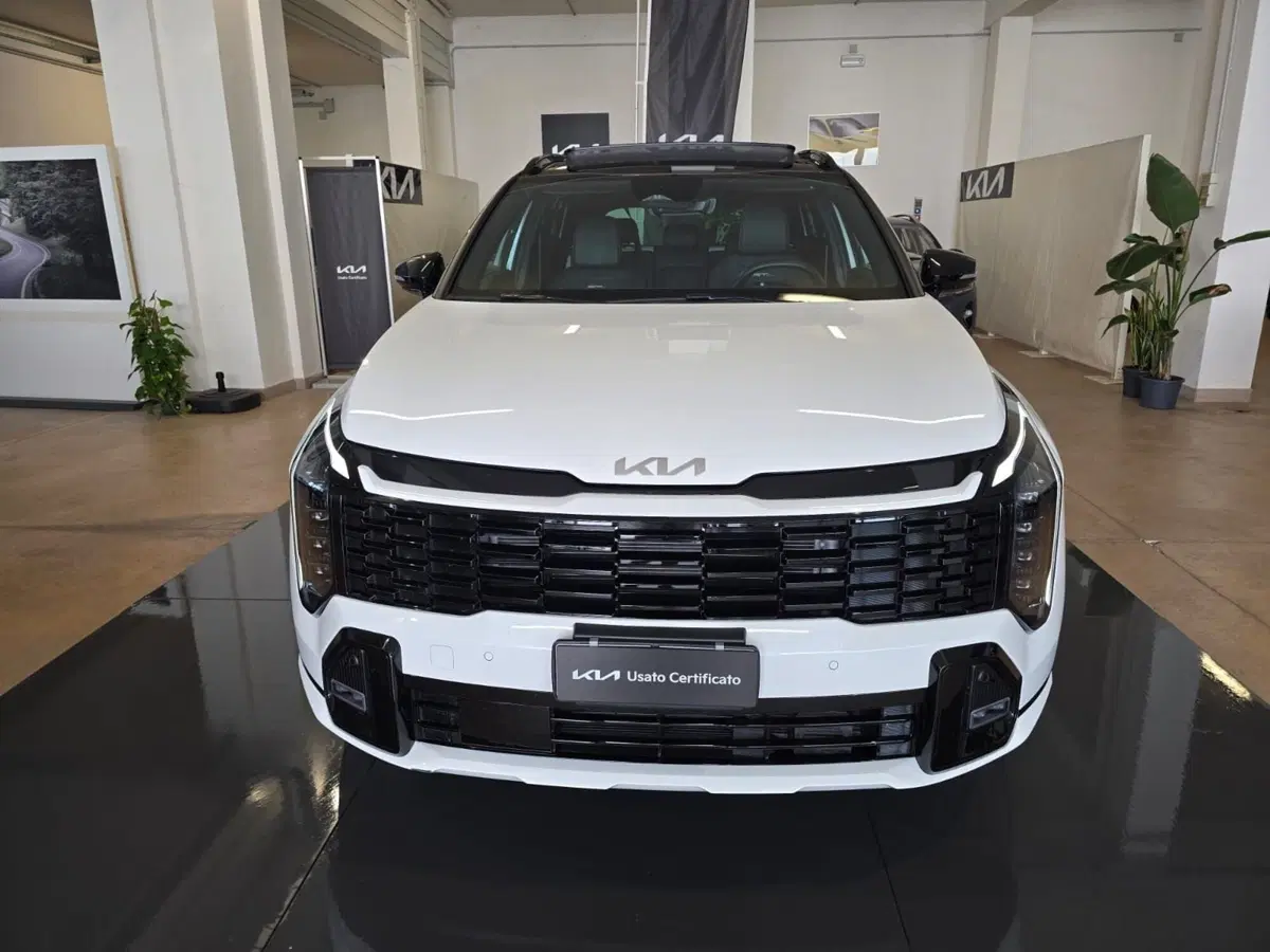 Kia Sportage usata a Rimini (3)