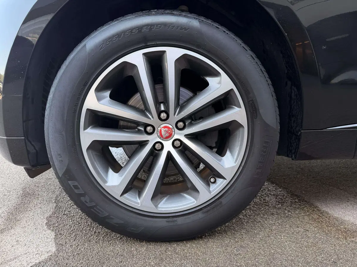Jaguar F-Pace usata a Siena (9)