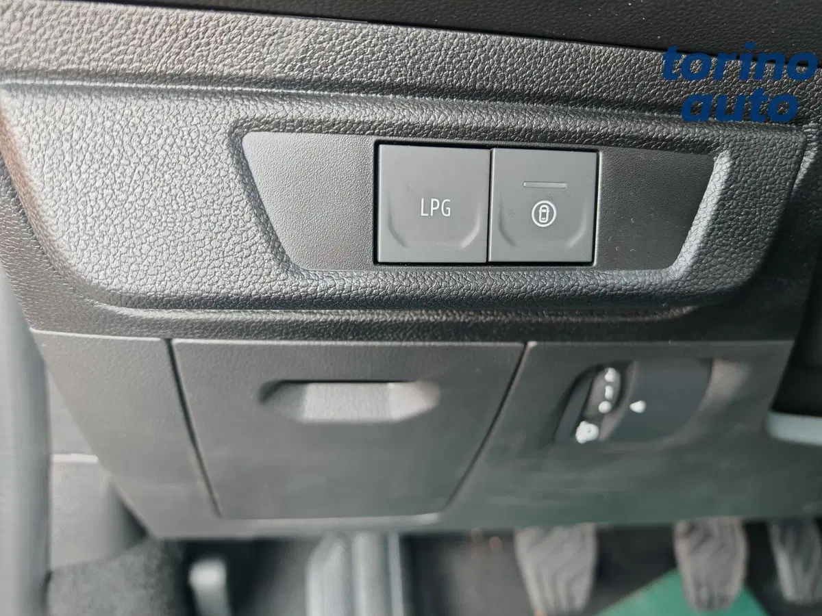 Dacia Sandero nuova a Torino (14)