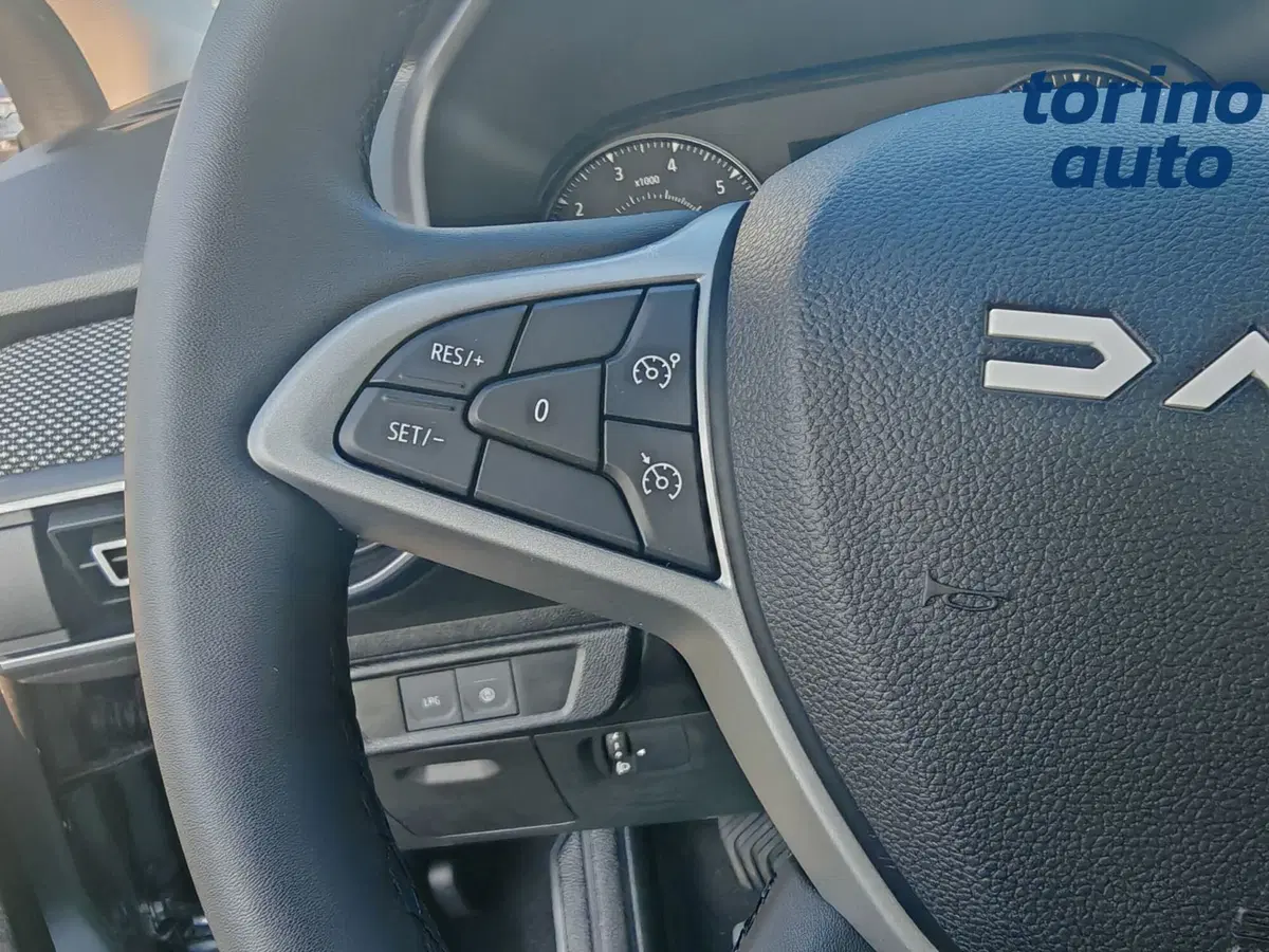 Dacia Sandero nuova a Torino (18)