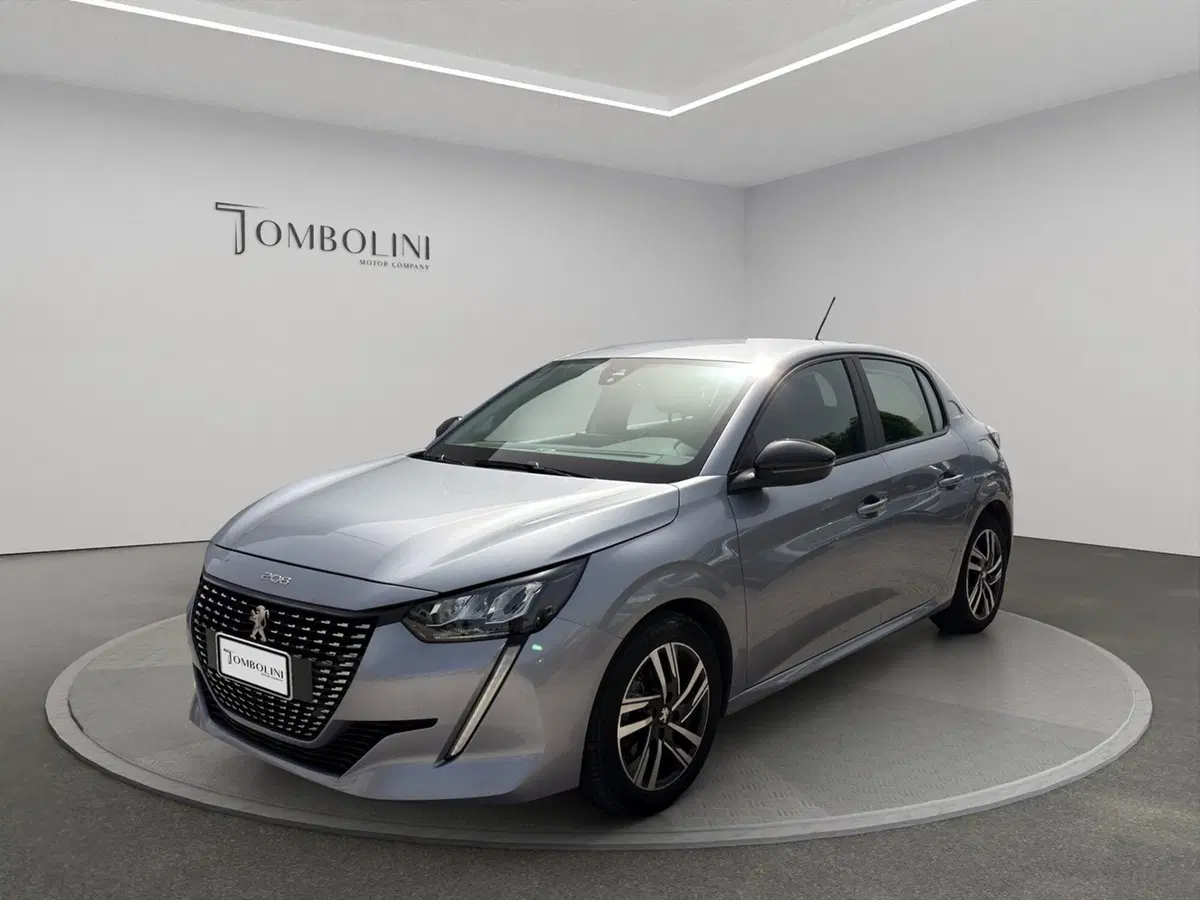 Peugeot 208 usata a Perugia