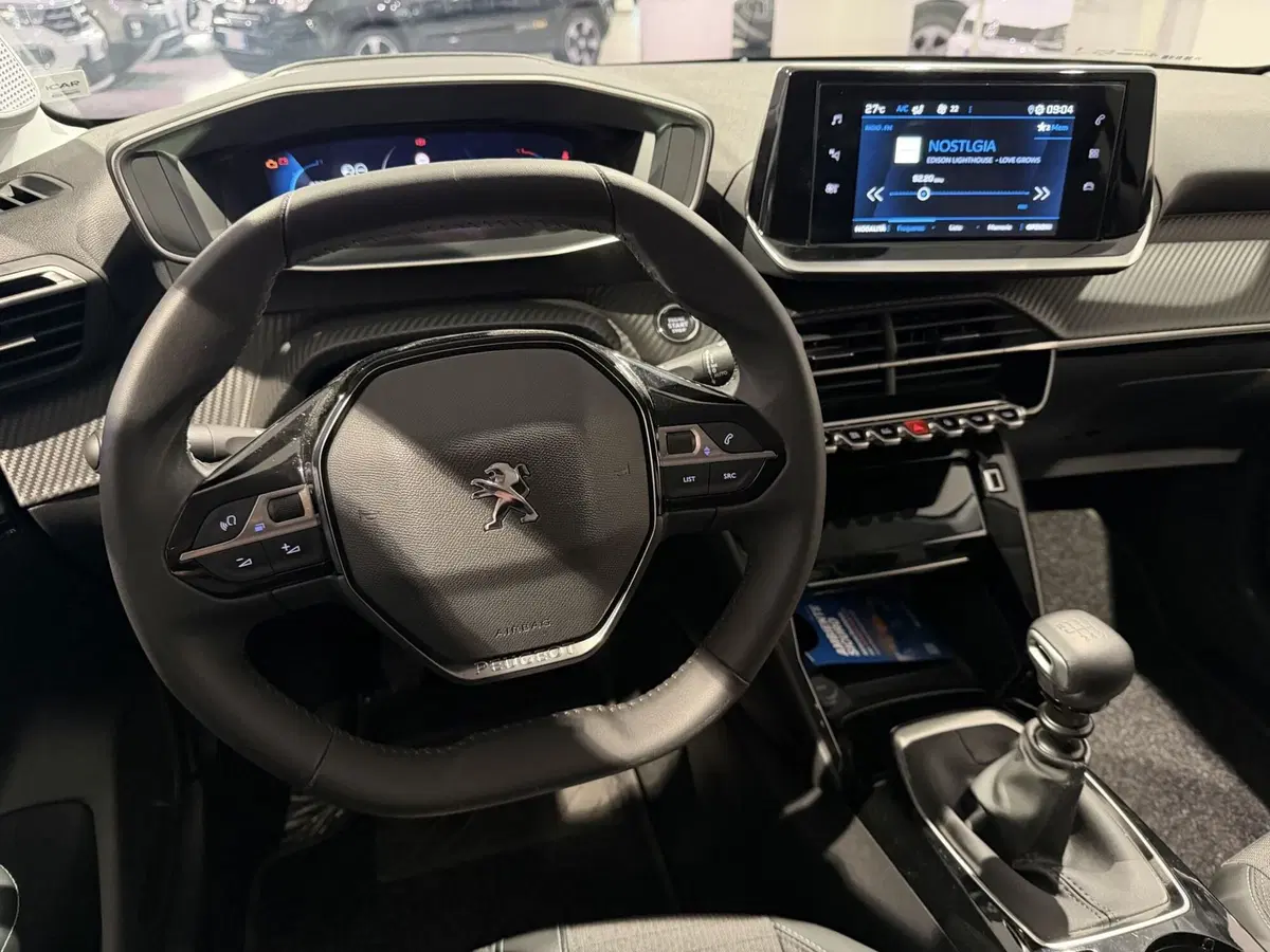 Peugeot 208 usata a Genova (12)