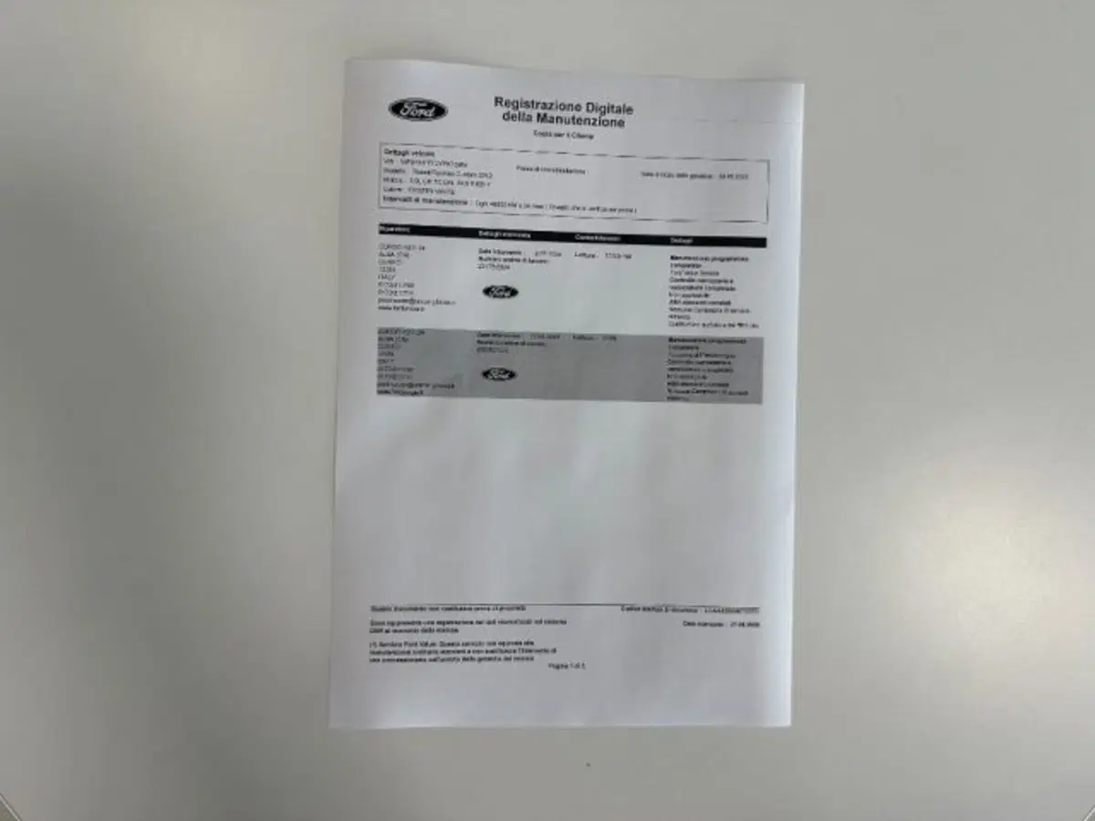 Ford Transit Custom Furgone usata a Cuneo (14)