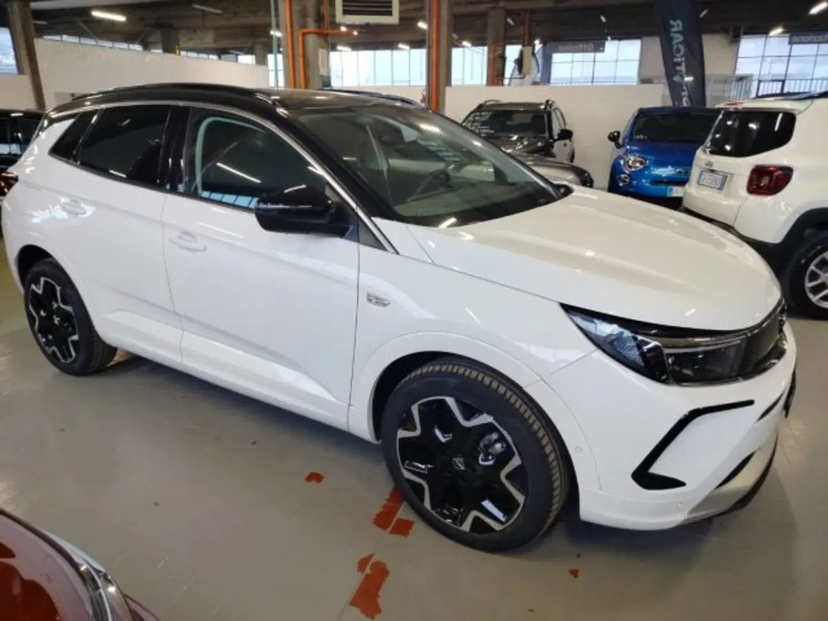 Opel Grandland usata a Forlì-Cesena (7)