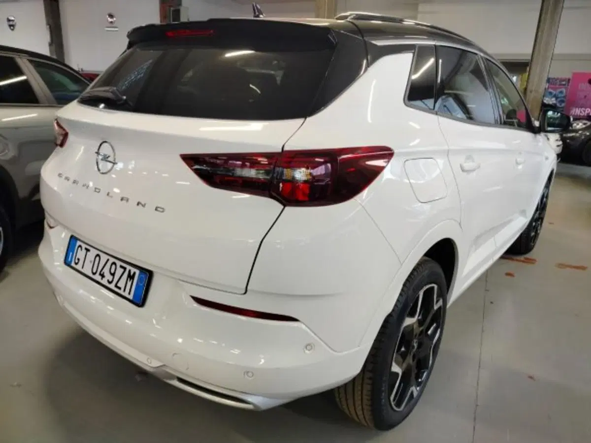 Opel Grandland usata a Forlì-Cesena (8)