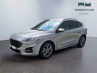 Ford Kuga 2.0 EcoBlue 120 CV aut. 2WD ST-Line X del 2023 usata a Segrate