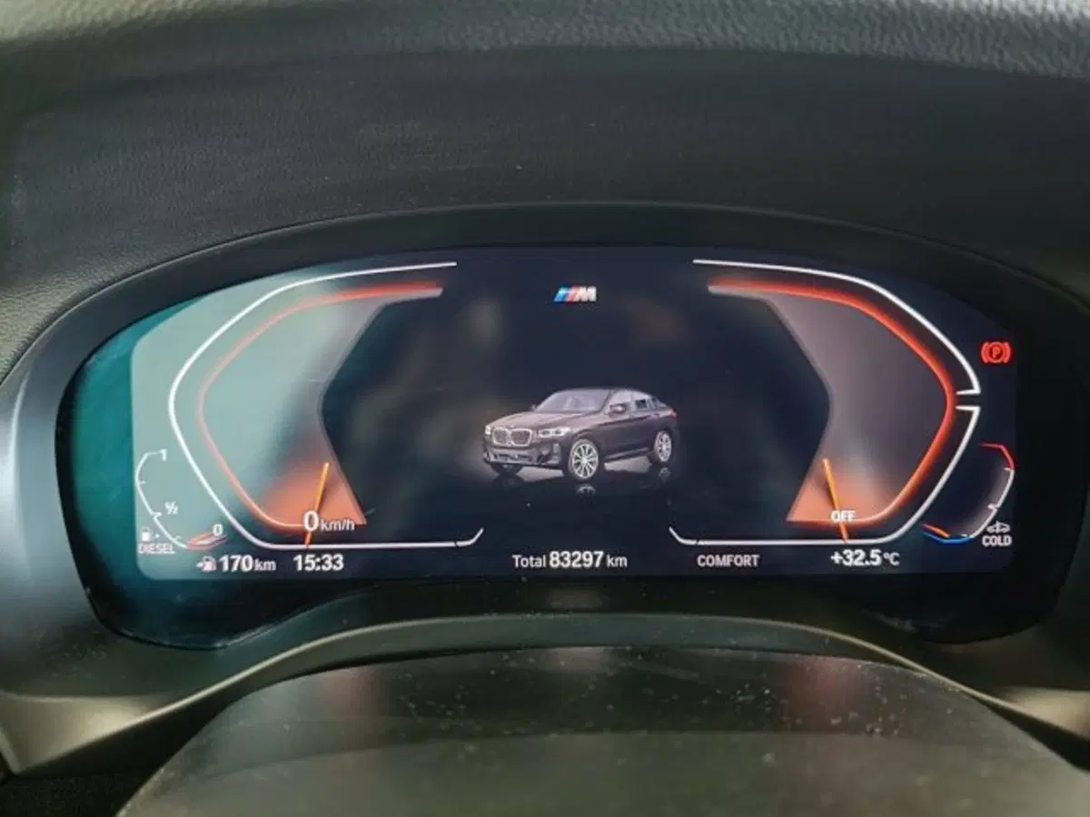 BMW X4 usata a Teramo (12)