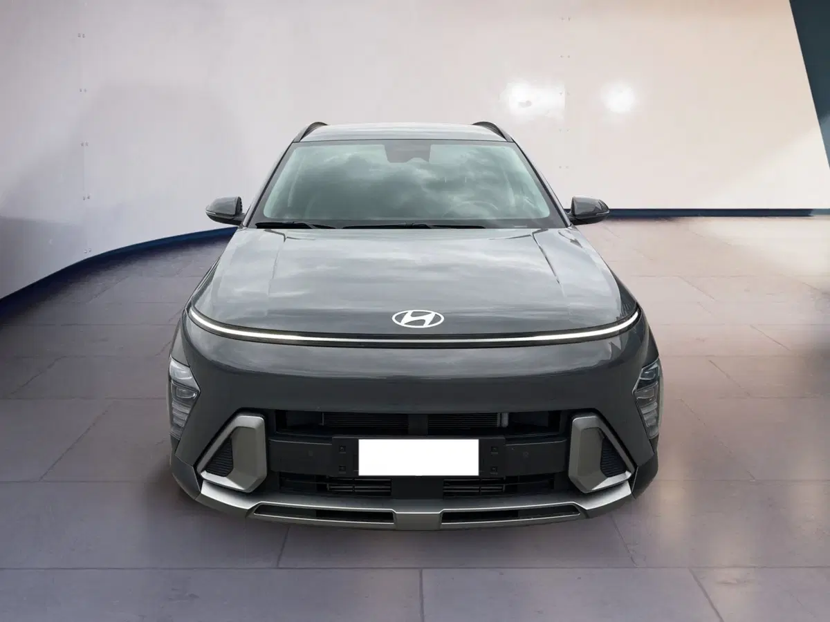Hyundai Kona usata a Torino
