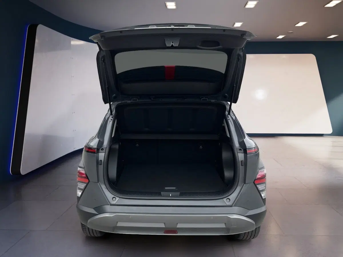 Hyundai Kona usata a Torino (8)