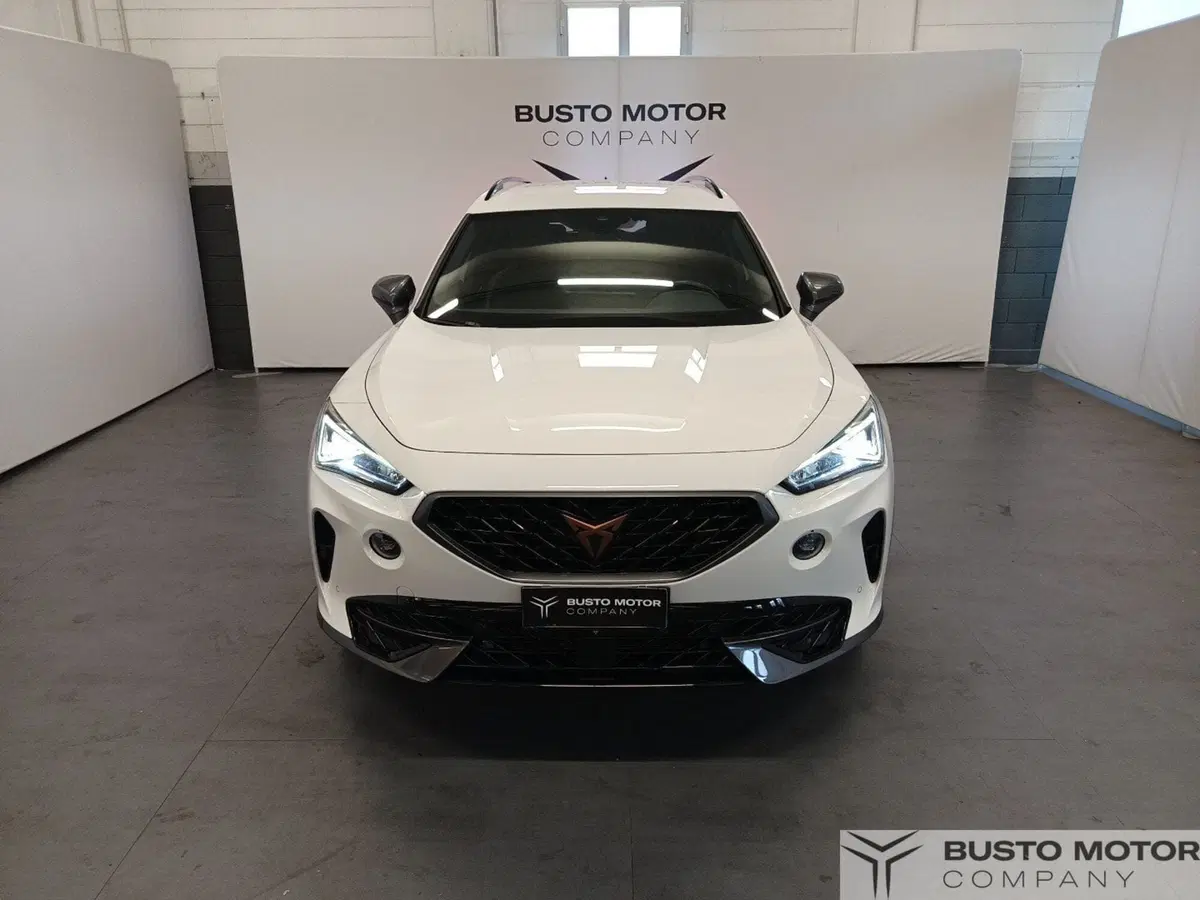 Cupra Formentor usata a Varese (2)