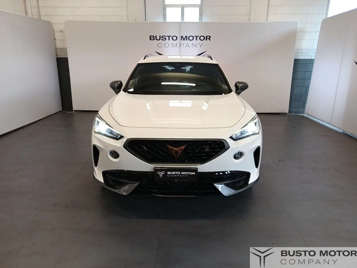 Cupra Formentor usata a Varese (2)