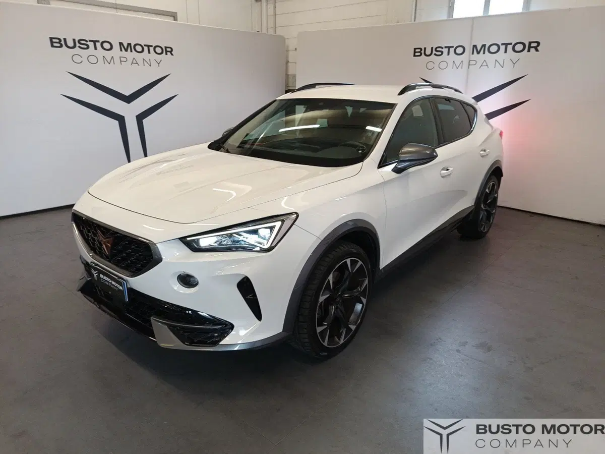 Cupra Formentor usata a Varese (3)