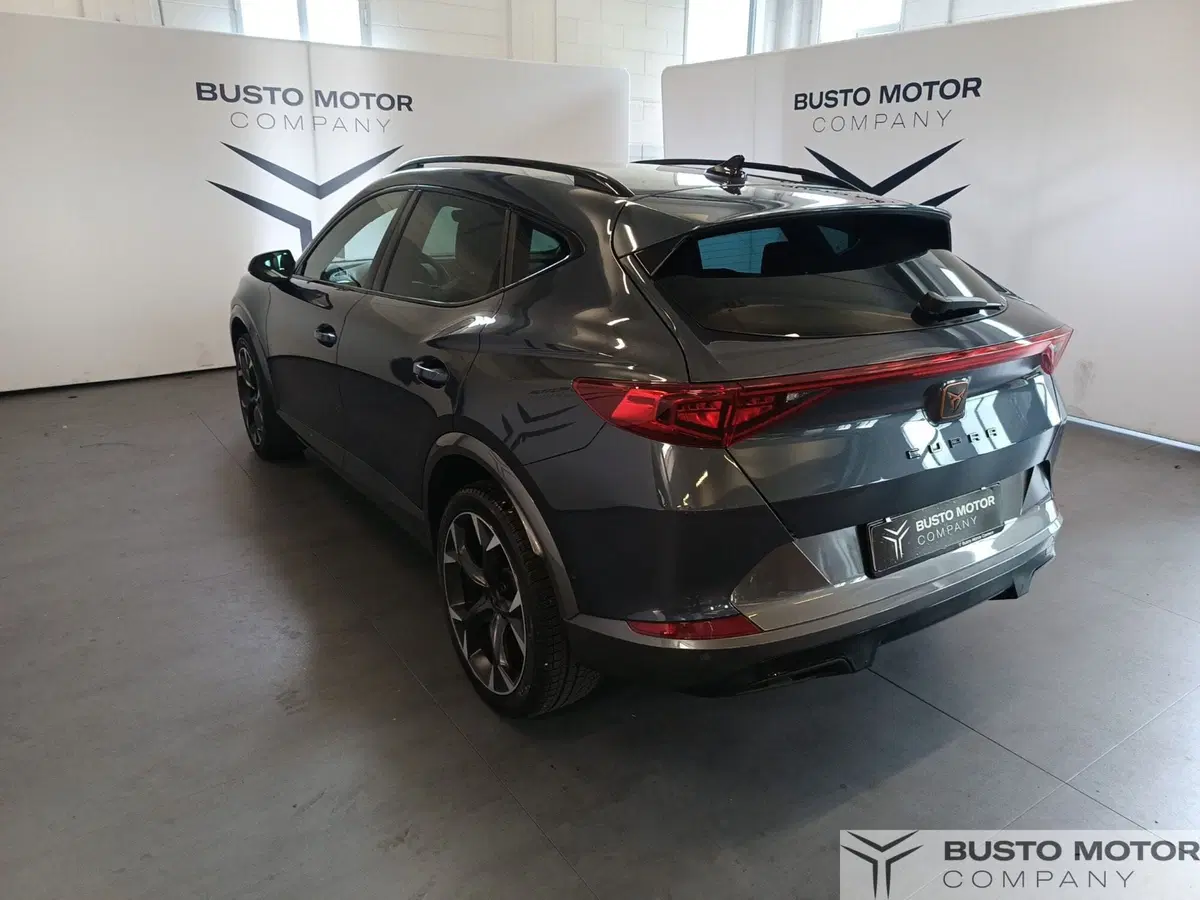 Cupra Formentor usata a Varese (6)