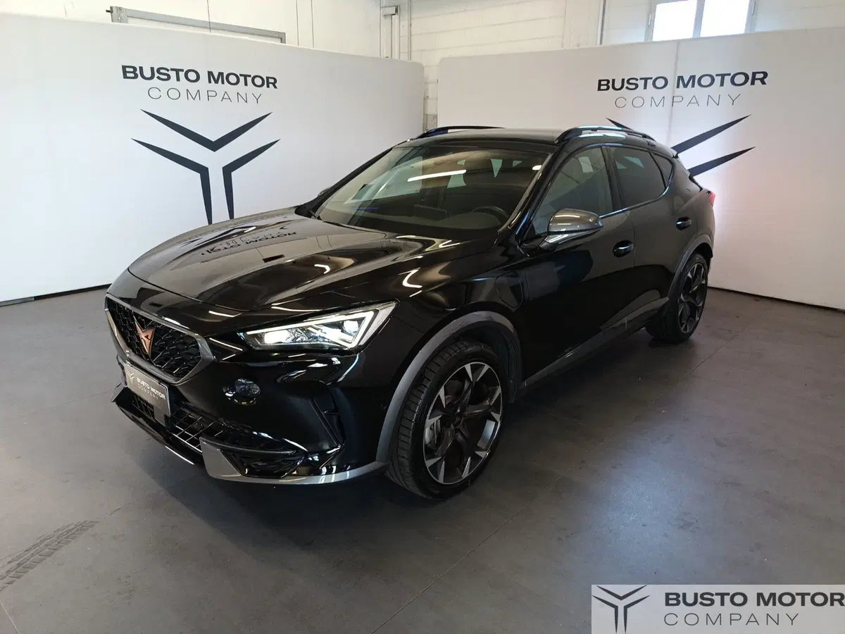 Cupra Formentor usata a Varese (3)