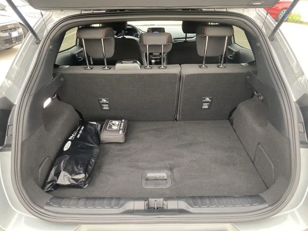 Ford Puma usata a Torino (9)